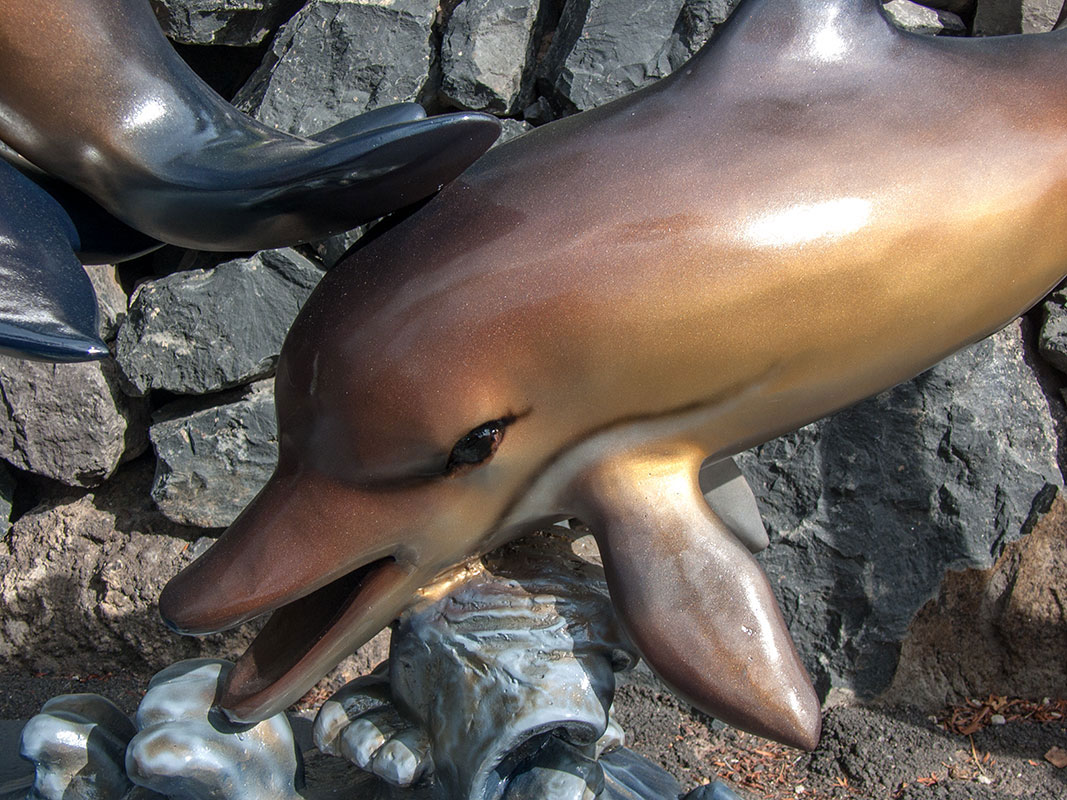 Goldener Delfin detail1