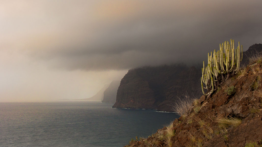 Los Gigantes