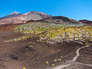 3D Teide 2