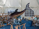 Delfin im Zelt